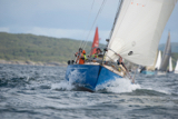 scintilla of the sea 920y whyw16 sun 800 0476w